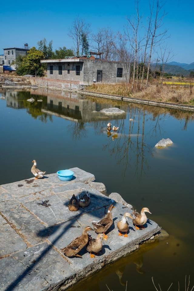 永州有个贫困村,会因此留下大量古迹,因为乡村振兴很快就要火15