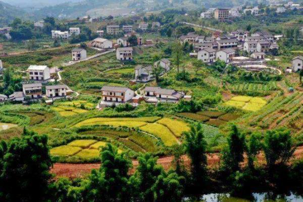 重庆春游踏青好去处1