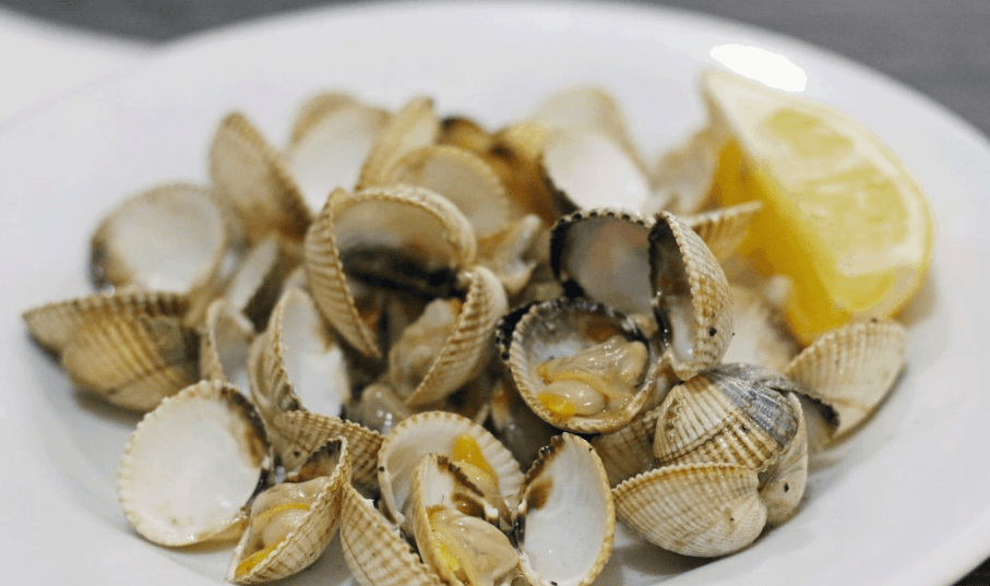 原创 藤壶到底有多可怕？海龟被折磨得苦不堪言，连鲸鱼也束手无策2