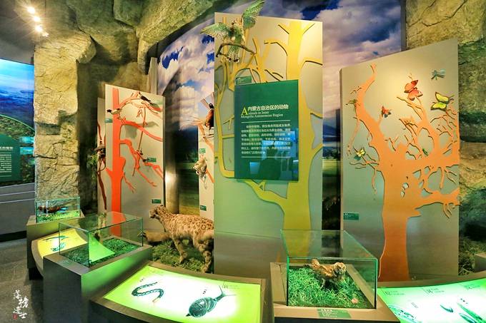 原创 探秘:内蒙古博物院的镇馆之宝,精美贵重,专家看到后惊叹不已3