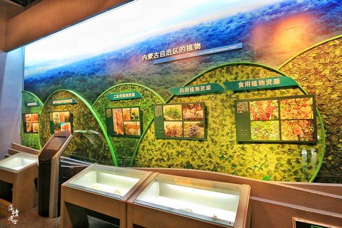 原创 探秘:内蒙古博物院的镇馆之宝,精美贵重,专家看到后惊叹不已4