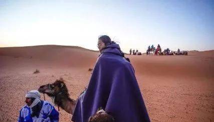 原创 在沙漠遇到渴死的骆驼，为什么不能碰？如果碰了会发生什么？7