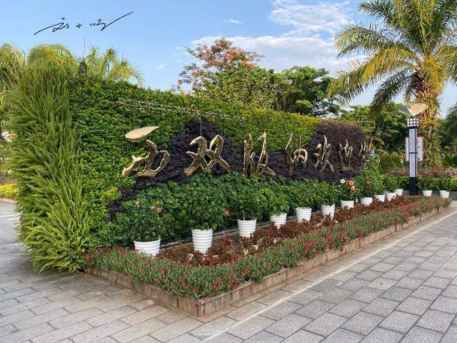 原创 云南省西双版纳傣族自治州的海拔多少米?游客:会有高原反应吗?2