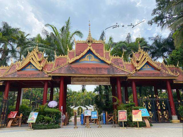 原创 云南省西双版纳傣族自治州的海拔多少米?游客:会有高原反应吗?8