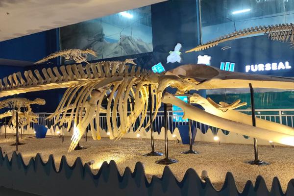 2022曲江海洋馆游玩攻略及营业时间1