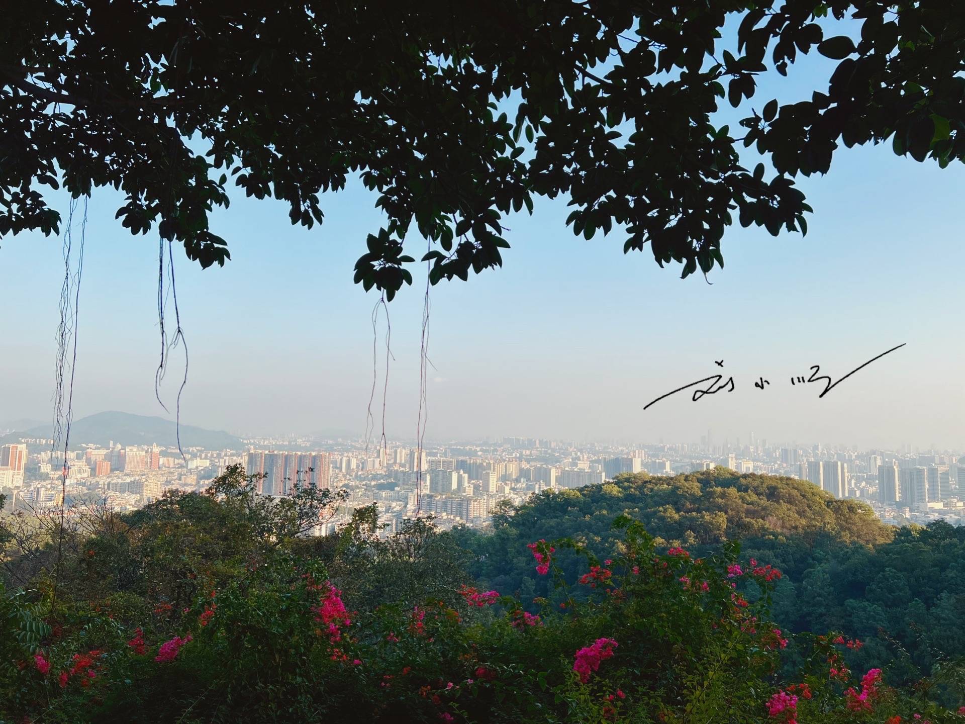 原创 广州这三个老城区,被认为是广州的传统市中心,重要地位无法取代7
