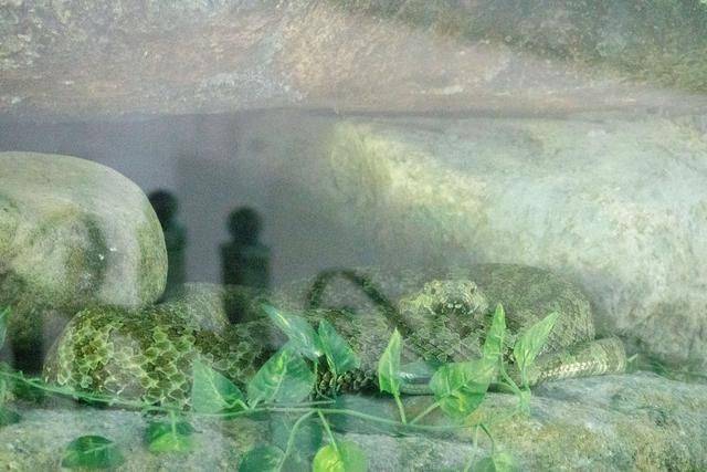 横跨广东湖南两省的山,曾经游人稀少,景色堪比黄山1