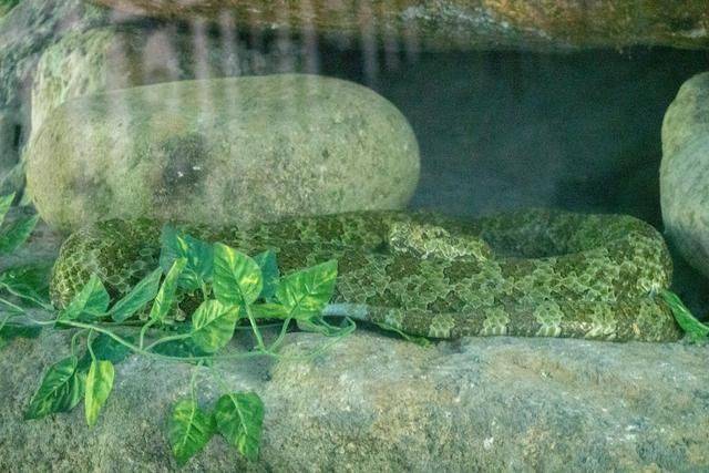 横跨广东湖南两省的山,曾经游人稀少,景色堪比黄山2