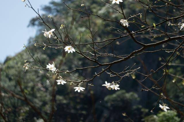 横跨广东湖南两省的山,曾经游人稀少,景色堪比黄山5