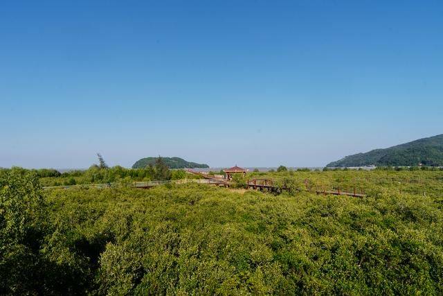 原创 都2022年了，你还没有去过海陵岛？要是免费开放的公园一定要来4