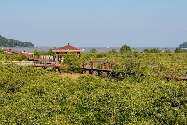 原创 都2022年了，你还没有去过海陵岛？要是免费开放的公园一定要来5