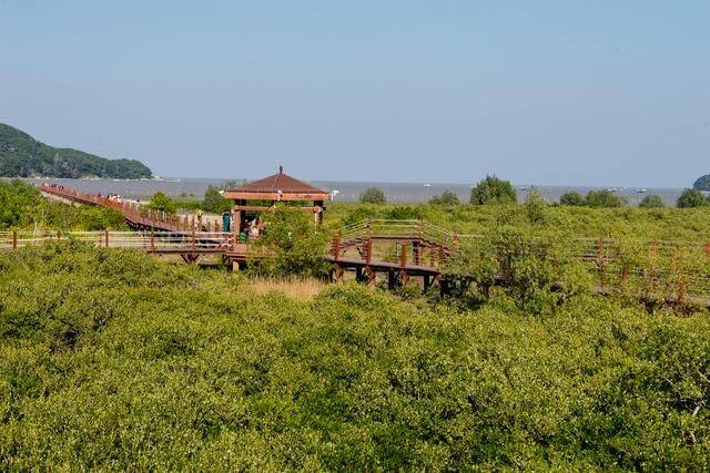 原创 都2022年了，你还没有去过海陵岛？要是免费开放的公园一定要来6