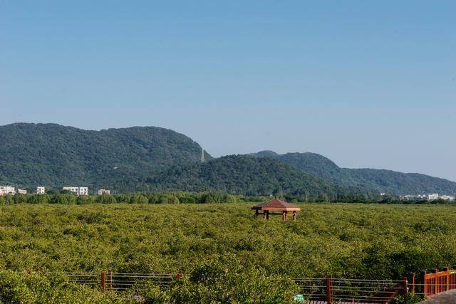 原创 都2022年了，你还没有去过海陵岛？要是免费开放的公园一定要来7