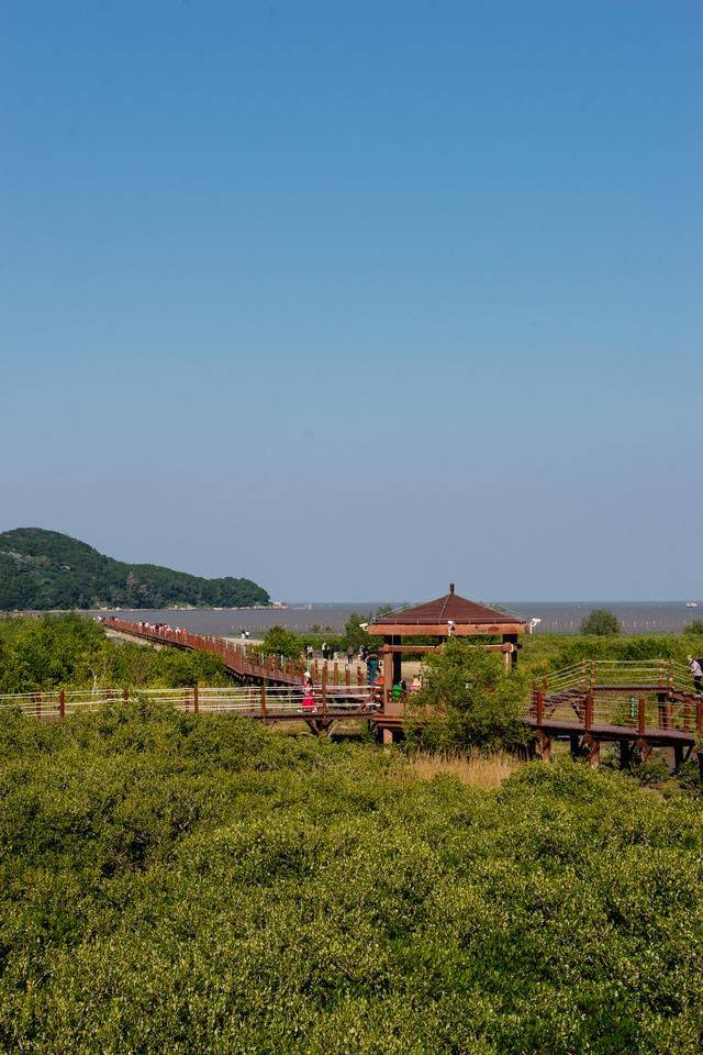 原创 都2022年了，你还没有去过海陵岛？要是免费开放的公园一定要来8
