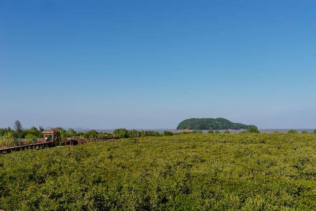 原创 都2022年了，你还没有去过海陵岛？要是免费开放的公园一定要来11