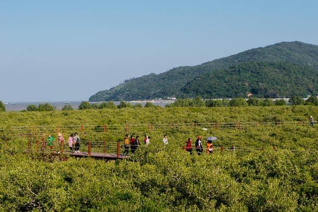 原创 都2022年了，你还没有去过海陵岛？要是免费开放的公园一定要来10