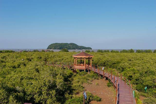 原创 都2022年了，你还没有去过海陵岛？要是免费开放的公园一定要来13