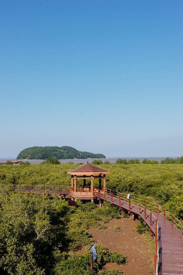 原创 都2022年了，你还没有去过海陵岛？要是免费开放的公园一定要来14