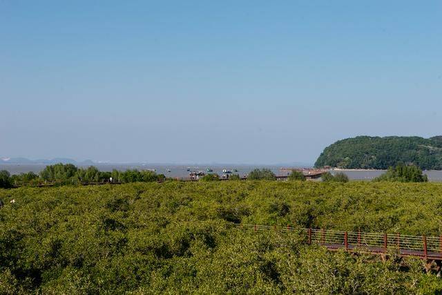 原创 都2022年了，你还没有去过海陵岛？要是免费开放的公园一定要来15