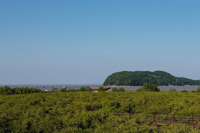 原创 都2022年了，你还没有去过海陵岛？要是免费开放的公园一定要来16