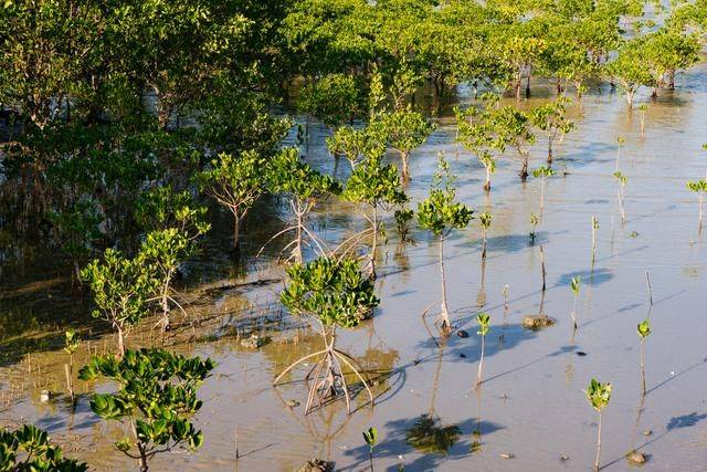 原创 都2022年了，你还没有去过海陵岛？要是免费开放的公园一定要来19