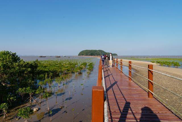 原创 都2022年了，你还没有去过海陵岛？要是免费开放的公园一定要来21