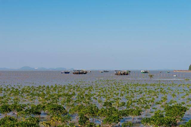原创 都2022年了，你还没有去过海陵岛？要是免费开放的公园一定要来22