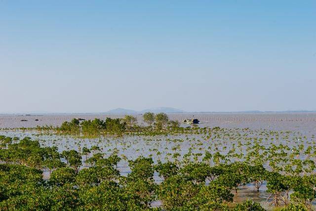 原创 都2022年了，你还没有去过海陵岛？要是免费开放的公园一定要来24