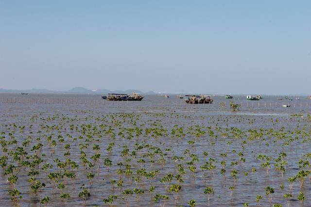 原创 都2022年了，你还没有去过海陵岛？要是免费开放的公园一定要来25