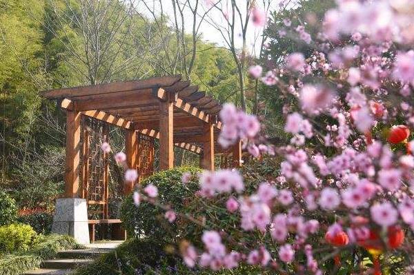 无锡赏樱花的地方有哪些4