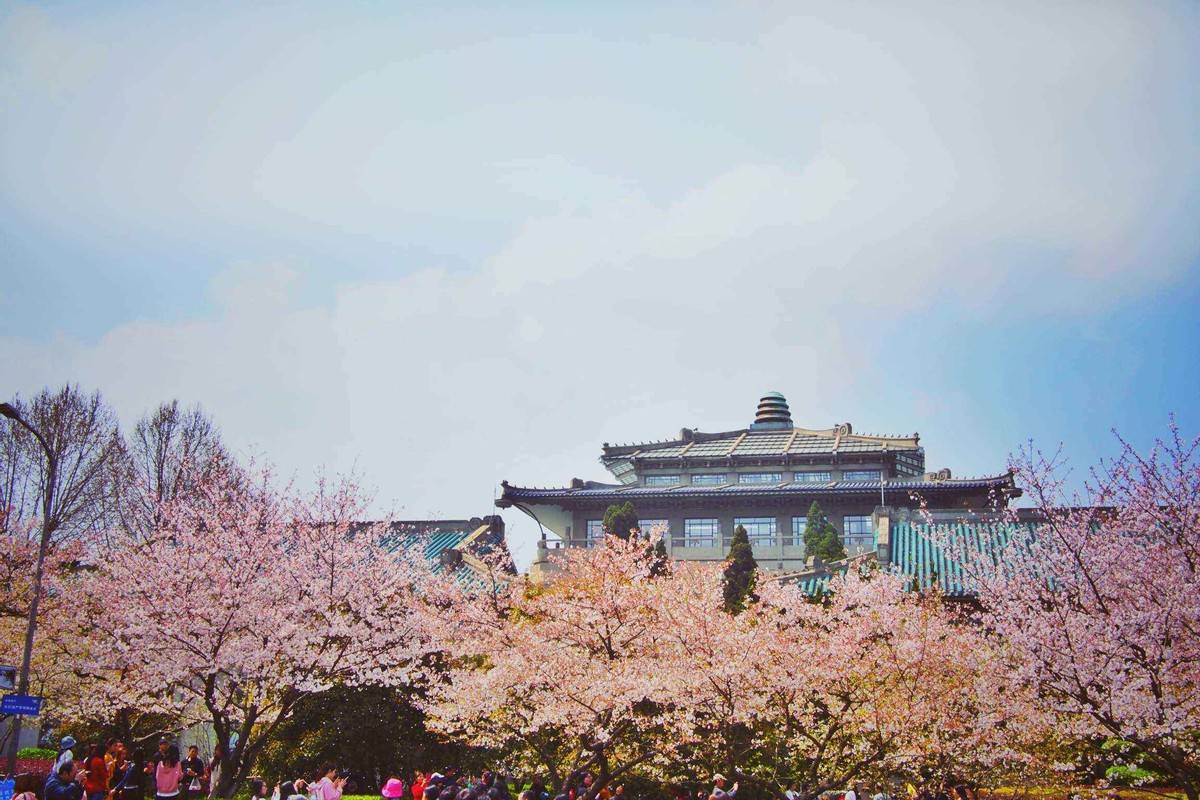 我要把今年春天留给这5个地方,看山花烂漫,春光无限2