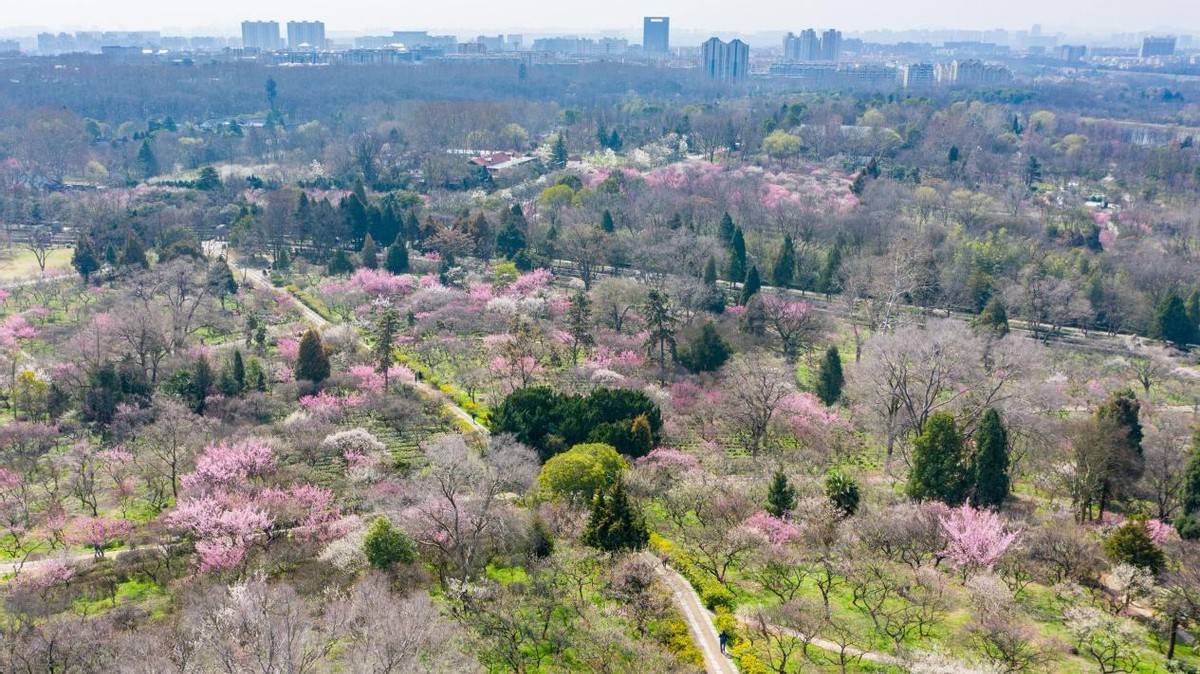 我要把今年春天留给这5个地方,看山花烂漫,春光无限6