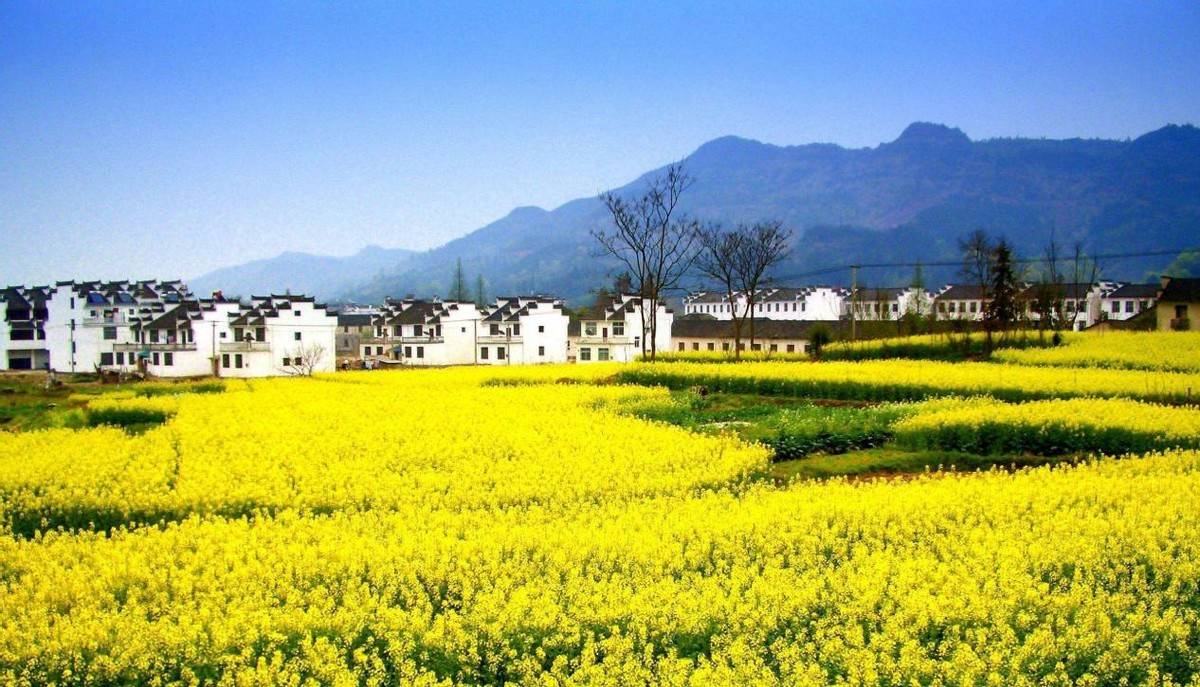 我要把今年春天留给这5个地方,看山花烂漫,春光无限10