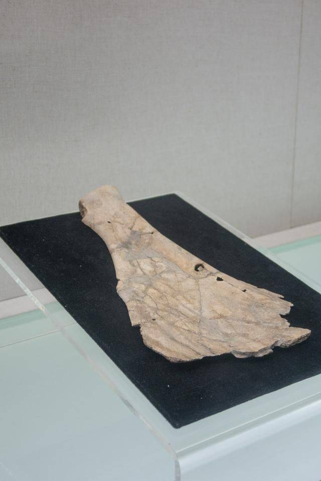 山西博物馆的晋国霸业,古时候的山西有多强势,来这里看看就知道25