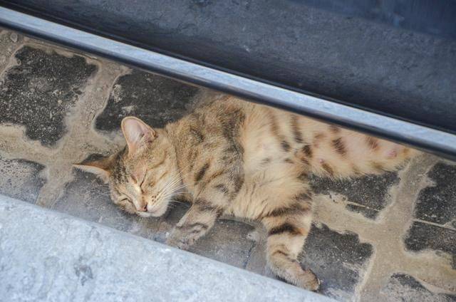 这个老城太美,被评估世界遗产,未被中国游客占领的“处女地”11