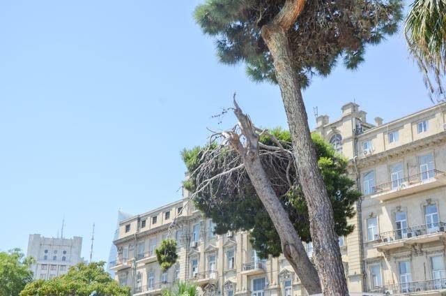 这个老城太美,被评估世界遗产,未被中国游客占领的“处女地”12