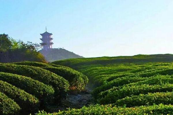 四川对中国女足免费的景区有哪些?2