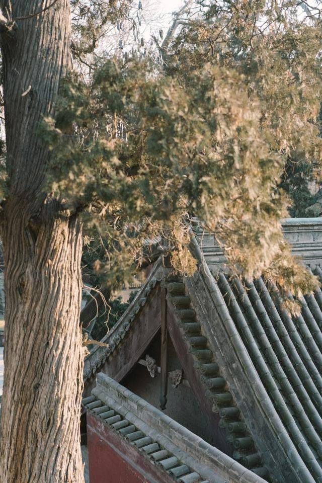 晋祠有一个超美的亭子，景色一流，仿佛仙境17