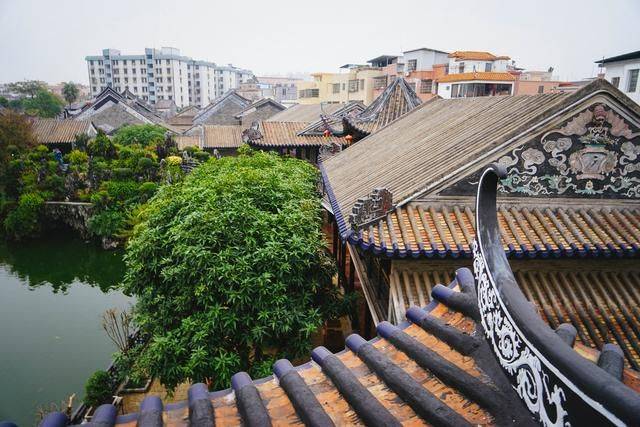岭南园林中最低调的一个，位于广州番禺，小巧玲珑移步换景5