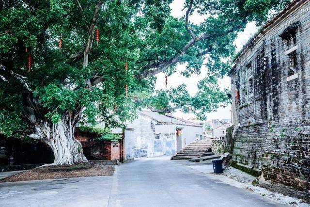 大发现!肇庆有个村落对外地人不友好,走进来100%会迷路14