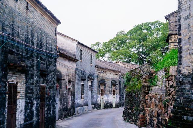 大发现!肇庆有个村落对外地人不友好,走进来100%会迷路17