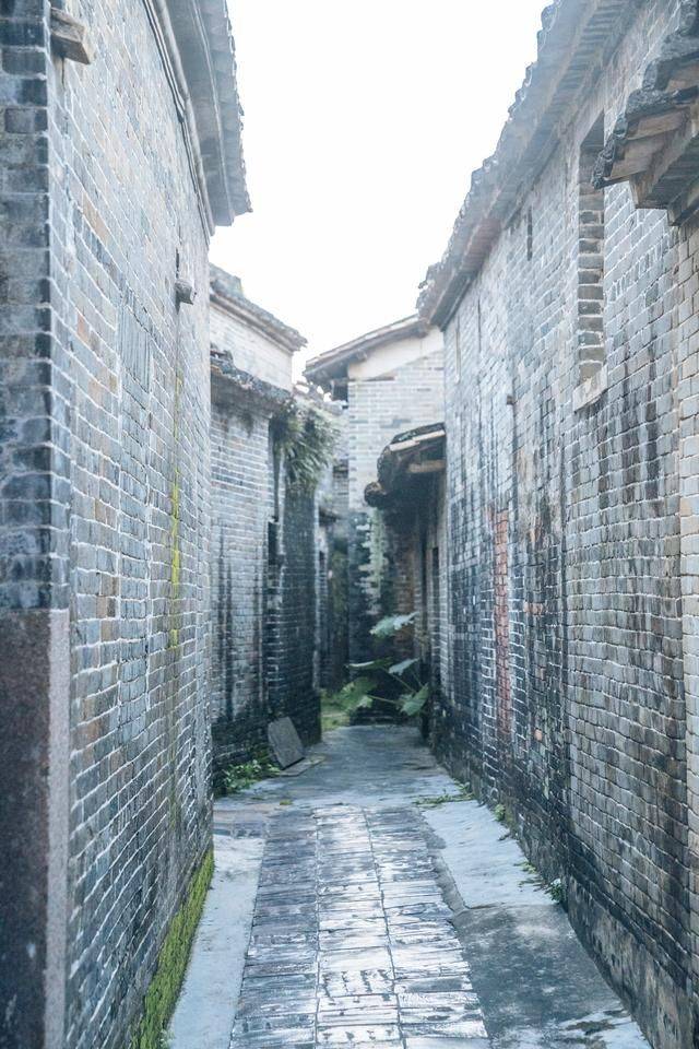 大发现!肇庆有个村落对外地人不友好,走进来100%会迷路18