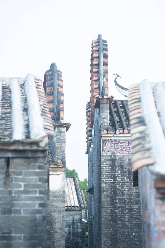 大发现!肇庆有个村落对外地人不友好,走进来100%会迷路23