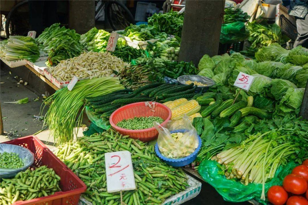 东北陈老师旅居养老,带老伴去成都买菜,感叹南北方差异真大4