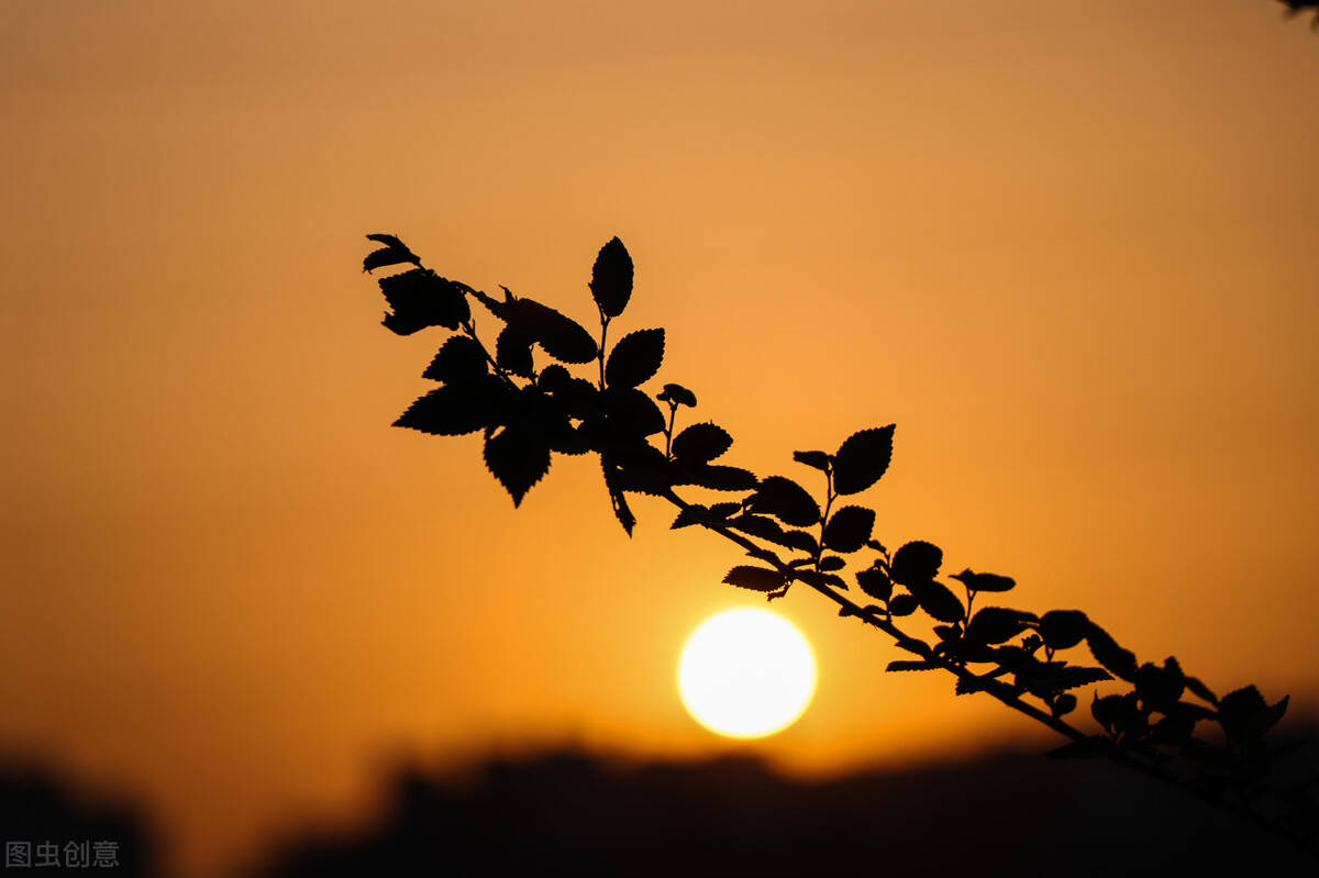 人生的后半场,能走多远,取决于体魄和心态1