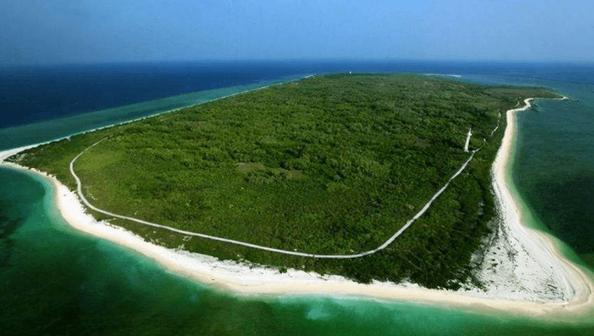 原创 为何在西沙东岛上,发现上百头野牛?周边都是海,它们从何而来?1