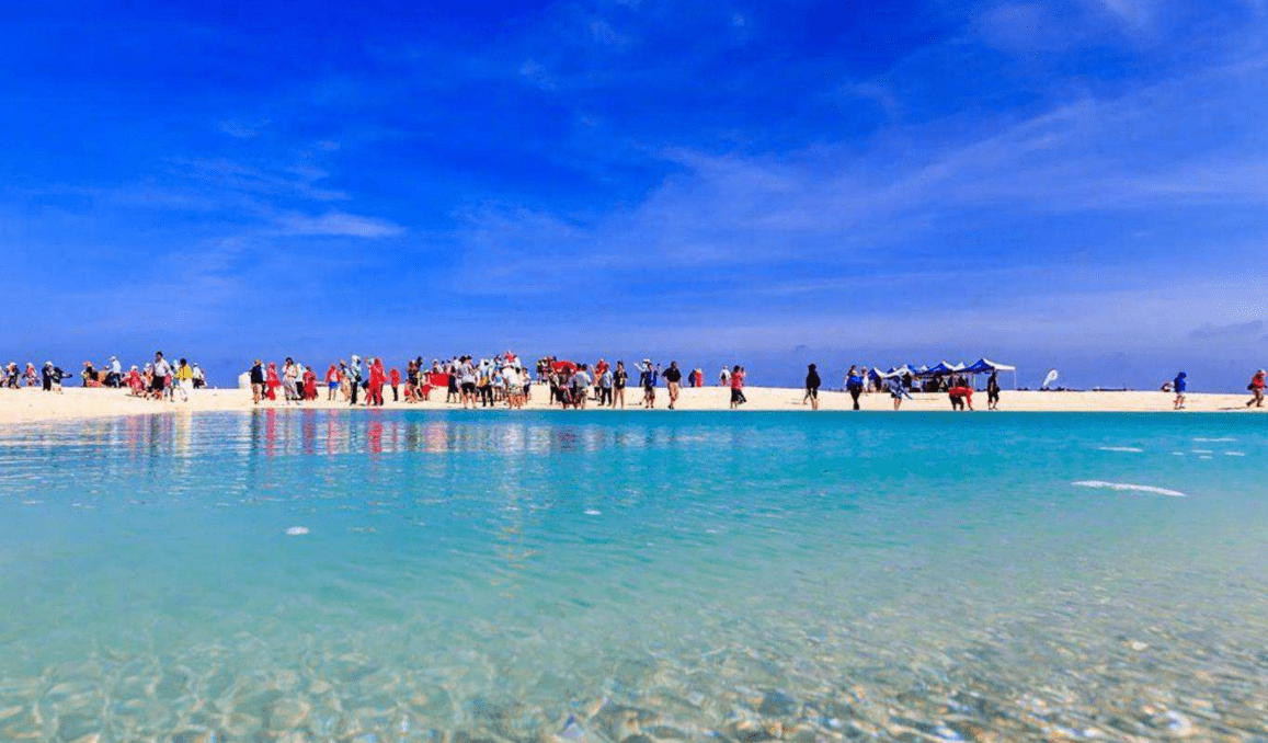 原创 为何在西沙东岛上,发现上百头野牛?周边都是海,它们从何而来?5