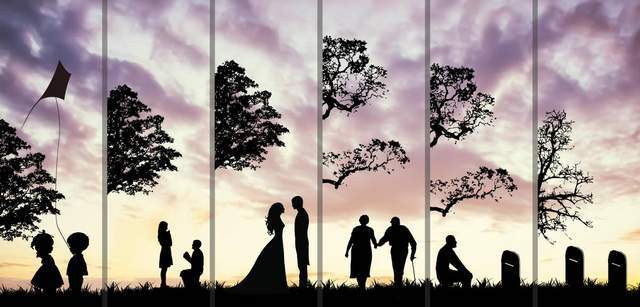 从青年到老年，写得太经典了1