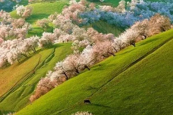 2022贵阳高坡云顶滑雪场门票价格及具体地址1