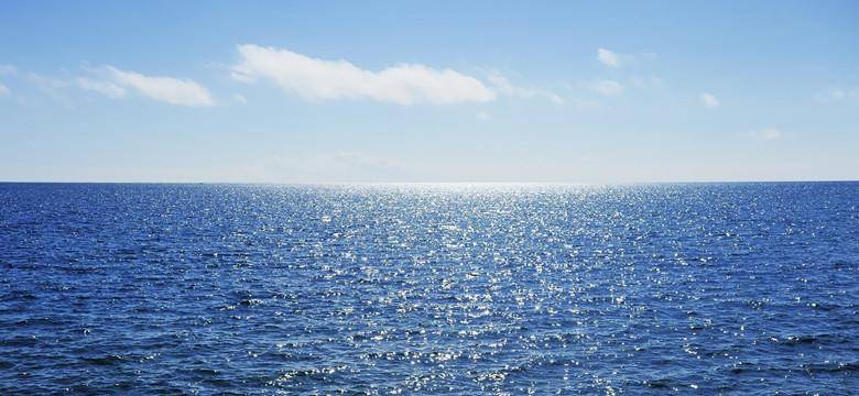 原创 黄河里的淡水鱼被冲进大海后,能在海水里存活吗?早已进化出对策2